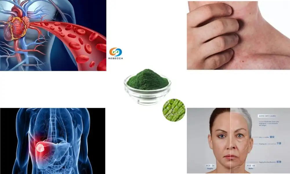 What is the function of chlorophyll powder? What is the function of chlorophyll powder?